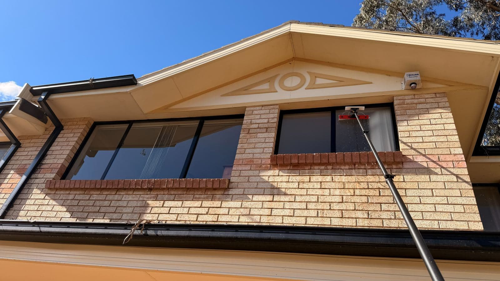 Technician using a water-fed pole to clean windows at a Castle Hill property